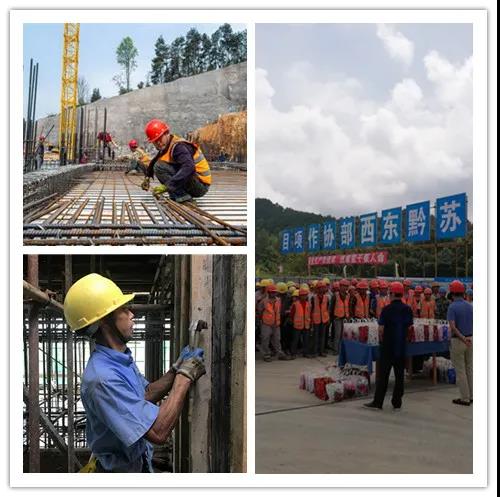 苏州中设东西部协作对口援建项目苏高新农产品供应链示范基地通过中国建筑工程钢结构金奖现场验收